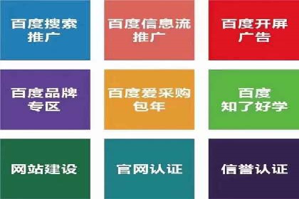 SEM外包策略在电商平台的成功案例